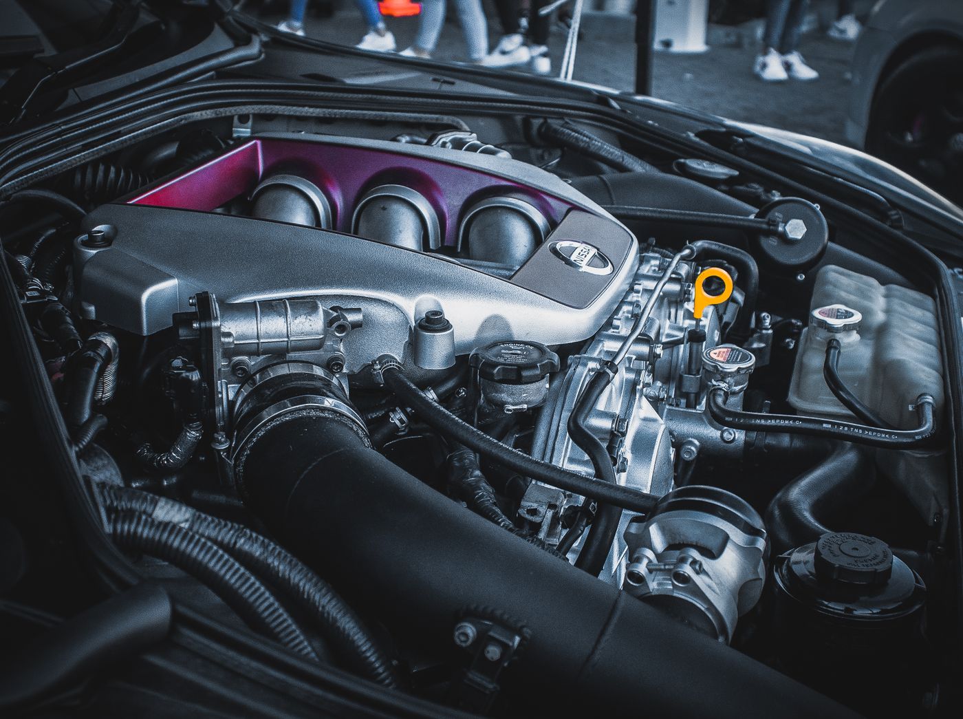 Clean, detailed engine bay